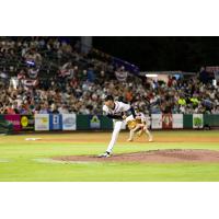 Charleston RiverDogs on the mound