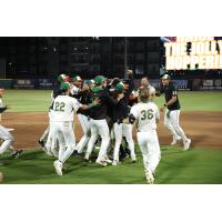Greensboro Grasshoppers' walk-off celebration