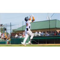 Down East Bird Dawgs' Jacob Corson in action