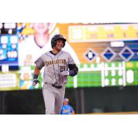 Charleston RiverDogs catcher Brody Donay
