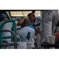 Mississippi Mud Monsters congratulate infielder Travis Holt in the dugout