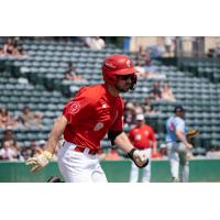 Adam Hall of the Winnipeg Goldeyes