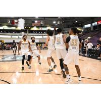 Brampton Honey Badgers in a celebratory mood