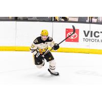 Wheeling Nailers defenseman Alexander Kuqali