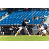 Omar Alfonzo at bat for the Somerset Patriots