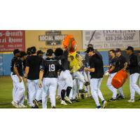 Hickory Crawdads celebrate a walk-off win