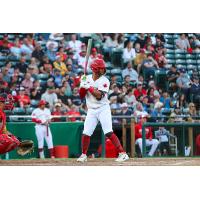 Ray-Patrick Didder of the Winnipeg Goldeyes at bat
