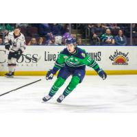 Maine Mariners forward Ben Allison