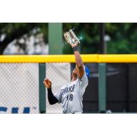 Biloxi Shuckers outfielder Mark Coley II