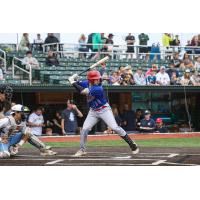 Green Bay Rockers third baseman Brayden Pleau