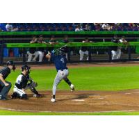 Roderick Arias at bat for the Somerset Patriots