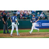 Tri-City Dust Devils catcher Peter Burns comes in to score