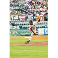 Charleston RiverDogs on the mound