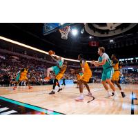 Winnipeg Sea Bears vs. the Brampton Honey Badgers
