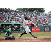 Greensboro Grasshoppers infielder Yordany De Los Santos