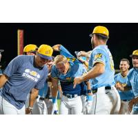 Montgomery Biscuits mob Will Simpson