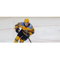 Forward Tanner Kelly with the Toledo Walleye