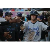 Pensacola Blue Wahoos shortstop Payton Green