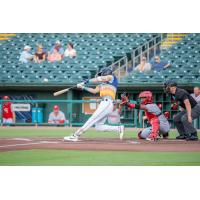 Montgomery Biscuits at bat