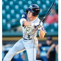Sean Gamble at bat for the Columbia Fireflies