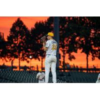 Montgomery Biscuits pitcher Garrett Edwards