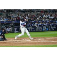 Somerset Patriots' Manny Palencia at bat