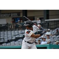 Mississippi Mud Monsters at bat