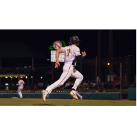 Down East Bird Dawgs outfielder Colby Backus
