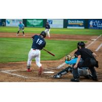 Tri-City Dust Devils shortstop Kendrey Maduro