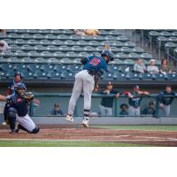 Lincoln Saltdogs outfielder Jairo Pomares dodges a pitch