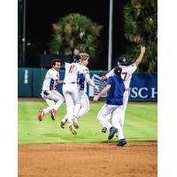 Charleston RiverDogs celebrate win
