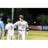 Charleston RiverDogs catcher Taitn Gray