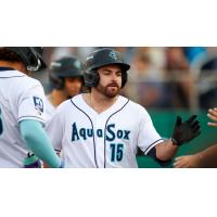 Aiden Taurek is congratulated by Everett AquaSox teammates