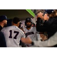 Somerset Patriots high five Roderick Arias