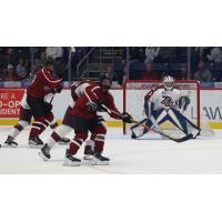 Peterborough Petes goaltender Luka Gelinas
