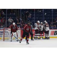 Peterborough Petes celebrate a Pacey Adduono goal
