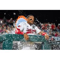 Fargo-Moorhead RedHawks' Jose Sermo gets celebratory ice-water treatment after 30th home run