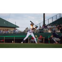Down East Bird Dawgs at bat