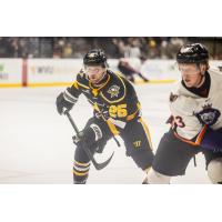 Forward Jack Works with the Wheeling Nailers