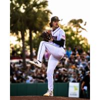 Charleston RiverDogs' Aidan Cremarosa