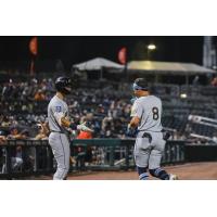 Montgomery Biscuits on game night