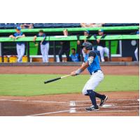 Paul Contreras of the Tampa Tarpons