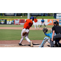 Dylan Carey of the St. Lucie Mets delivers the game-winning home run