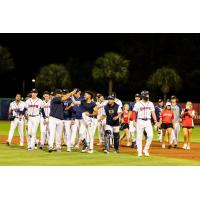 Charleston RiverDogs walk off the field after a win