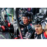 Vancouver Giants forward Brogan McNeil
