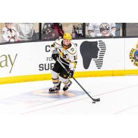 Wheeling Nailers forward Mike Posma