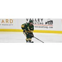 Defenseman Zane Demsey with Northern Michigan University