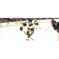 Defenseman William Ennis with the Indy Fuel