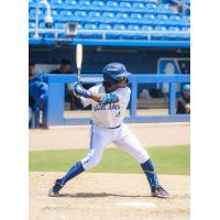 Dunedin Blue Jays infielder Dameury Pena