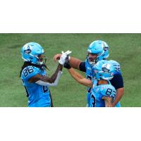 Toronto Argonauts celebrate